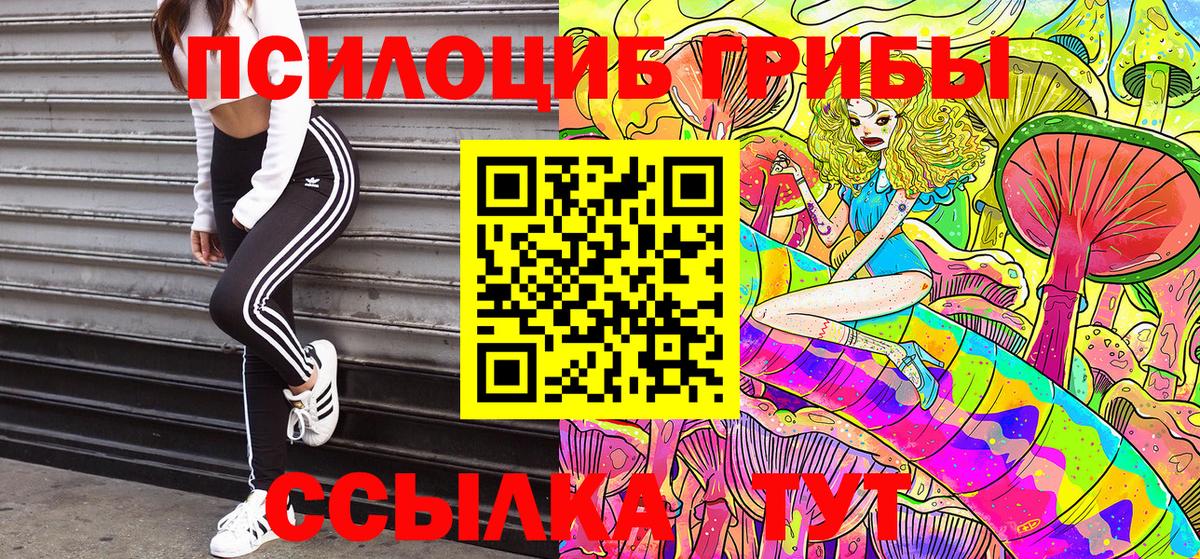 Псилоцибиновые грибы мицелий Рубцовск