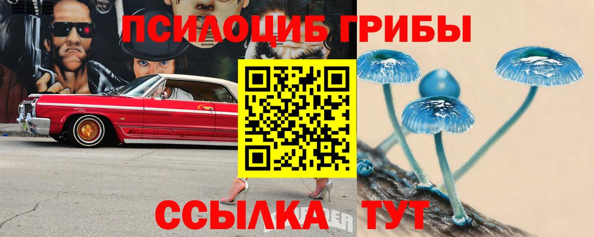 Рубцовск  Галлюциногенные грибы мицелий  Псилоцибиновые грибы MAGIC MUSHROOMS  купить наркоту  Вход с VPN 